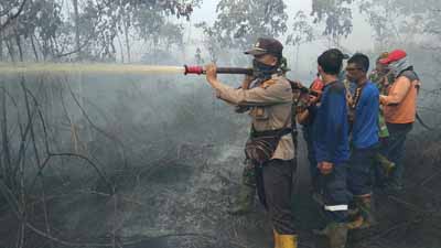  Karhutla di Pulau Rupat, Kabupaten Bengkalis Terus Meluas, Ini Penyebabnya